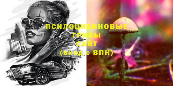 прущие грибы Навашино