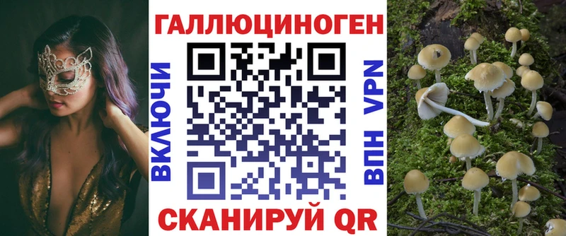 Купить где  Новороссийск  Галлюциногенные грибы Psilocybe 